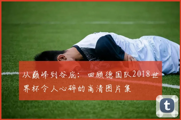 从巅峰到谷底：回顾德国队2018世界杯令人心碎的高清图片集