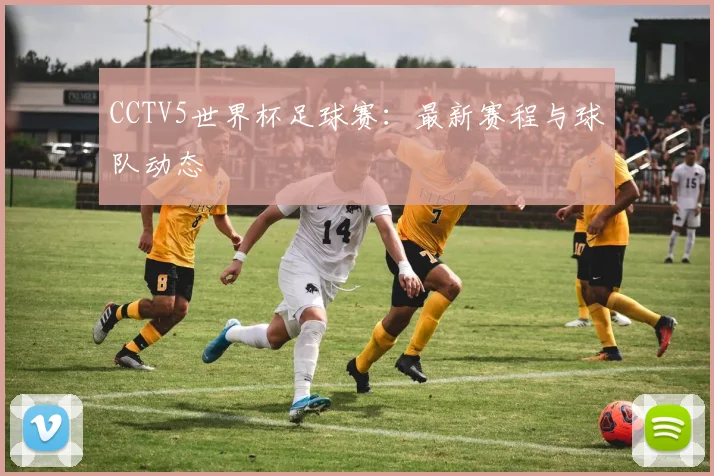 CCTV5世界杯足球赛：最新赛程与球队动态