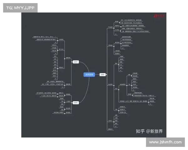 全面掌握打造属于你的足球虚拟球队从规划到组建的实操指南全流程